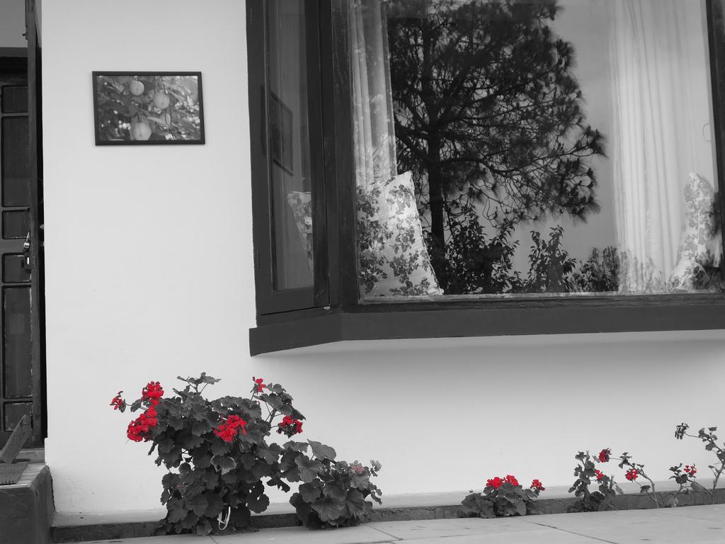 Hostie Sharanam - 2Bhk Pvt Mountain Villa, Majkhali Ranikhet Exterior photo